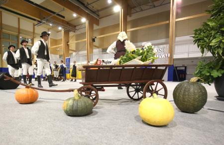 Folklorni festival KD Rak Rakek 37 Foto Ljubo Vukelič